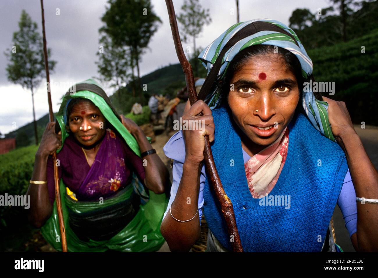 Frauen. Sri Lanka. Asien Stockfoto