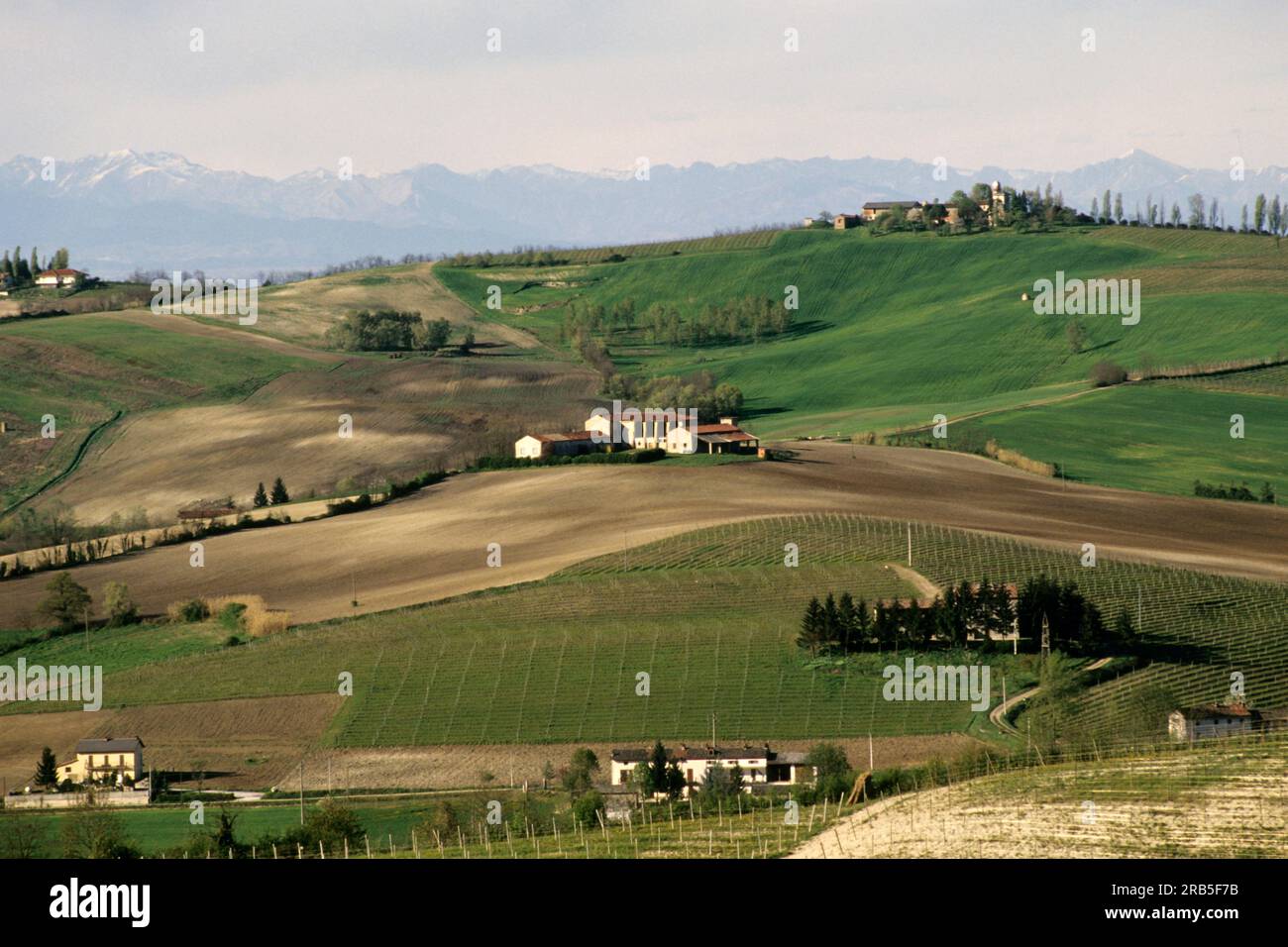 Monferrato. Piemont. Italien Stockfoto