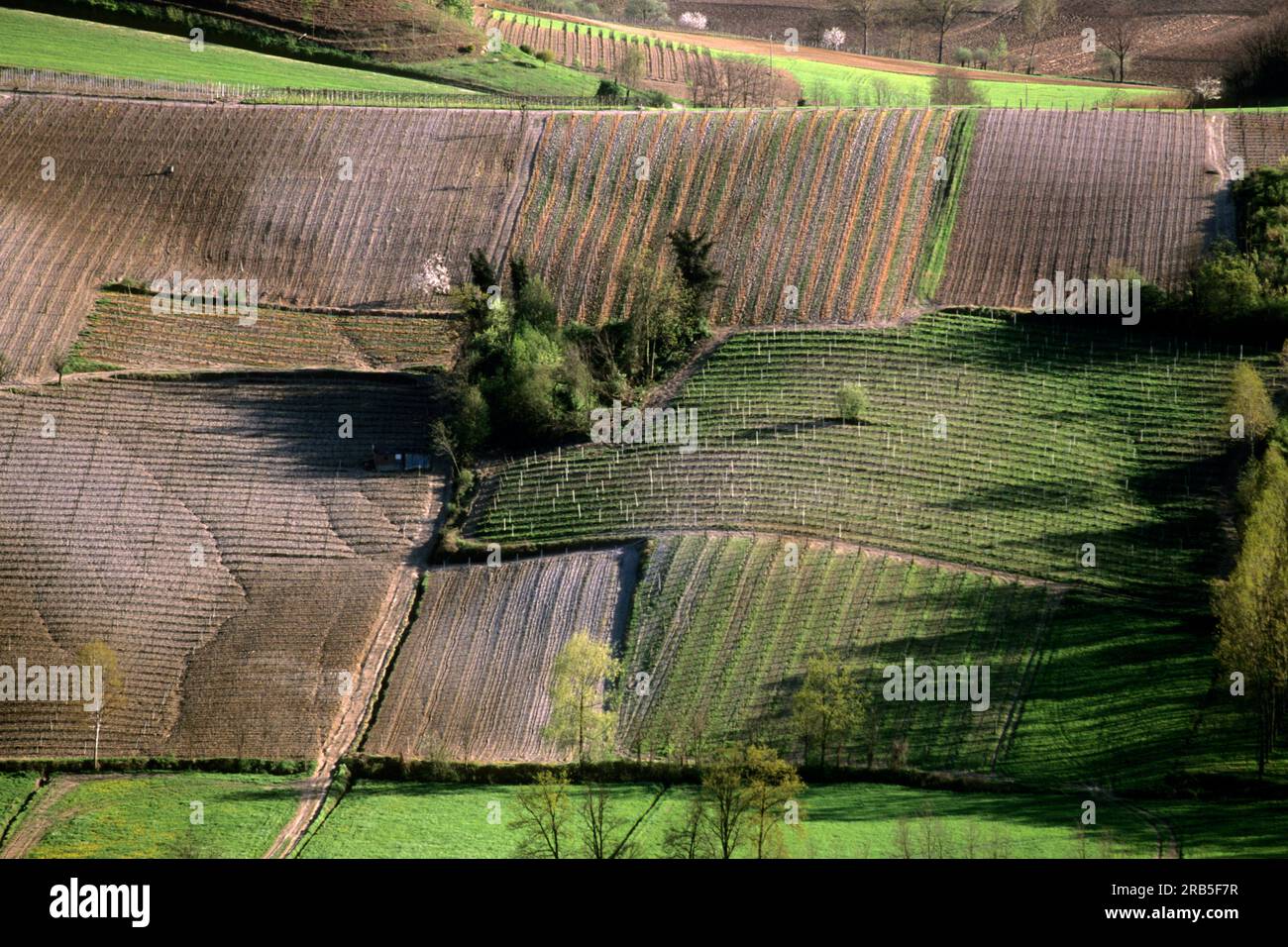 Monferrato. Piemont. Italien Stockfoto