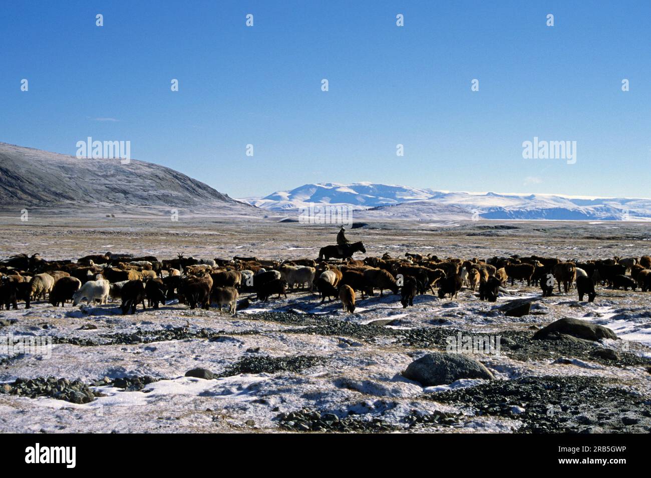 Das Altai-Gebirge. Mongolei Stockfoto