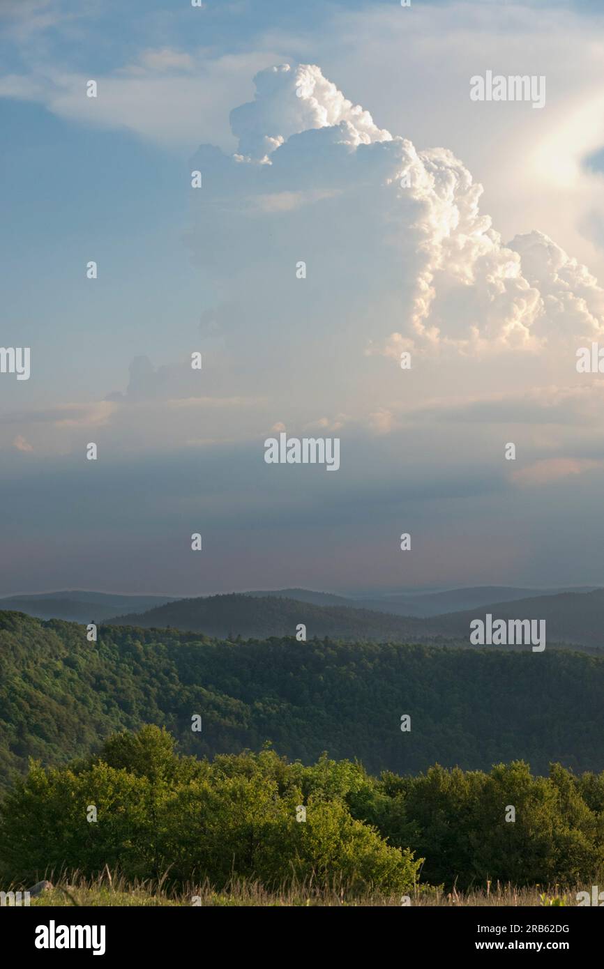 Dichte, hoch aufragende vertikale Wolke, ein Cumulonimbus, erleuchtet von der untergehenden Sonne über einer bewaldeten, hügeligen Landschaft in den Vogesen Stockfoto