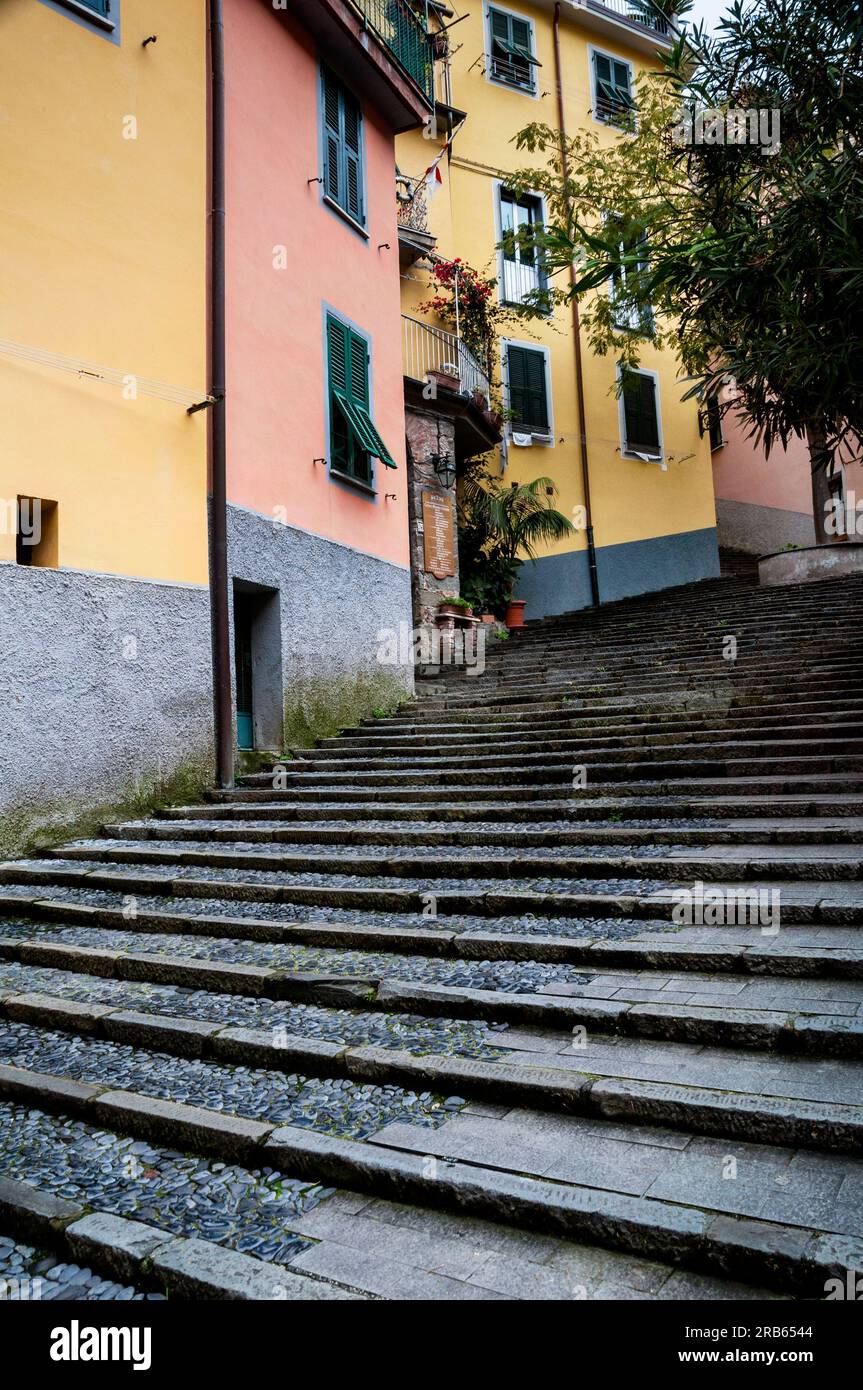 Steintreppe in der Via Colombo Fußgängerzone in Riomaggiore, Cinque Terre, Italien. Stockfoto