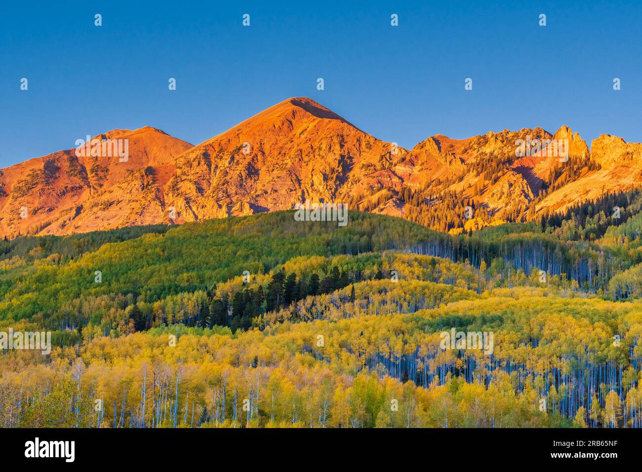 Die Kebler Pass Road in Colorado bringt Herbstfarben in die USA. Stockfoto