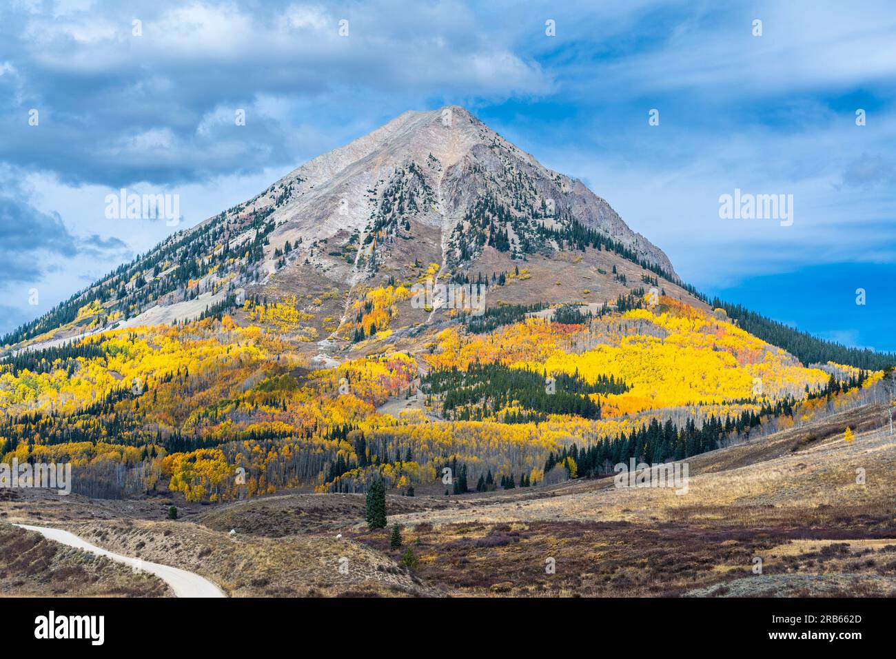 Herbstfarben am Gothic Mountain in Colorado. Stockfoto
