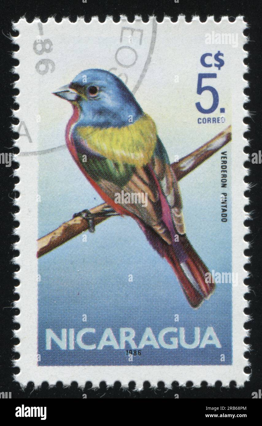 RUSSLAND KALININGRAD, 26. MÄRZ 2019: Der von Nicaragua gedruckte Stempel zeigt den Vogel auf einem Zweig, ca. 1986 Stockfoto
