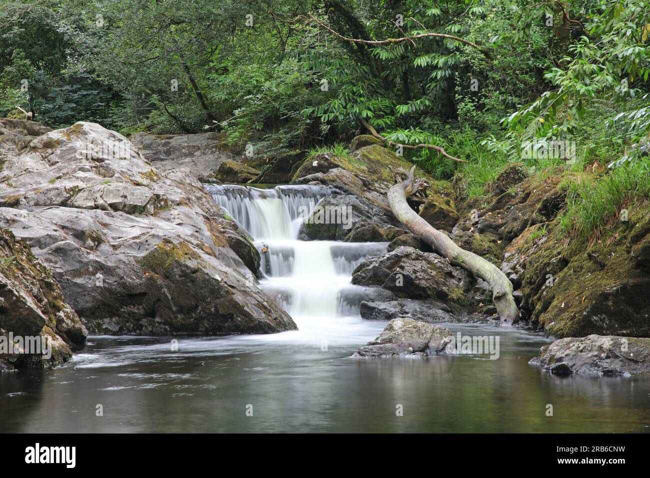 Fluss Erme, Ivybridge, Devon Stockfoto