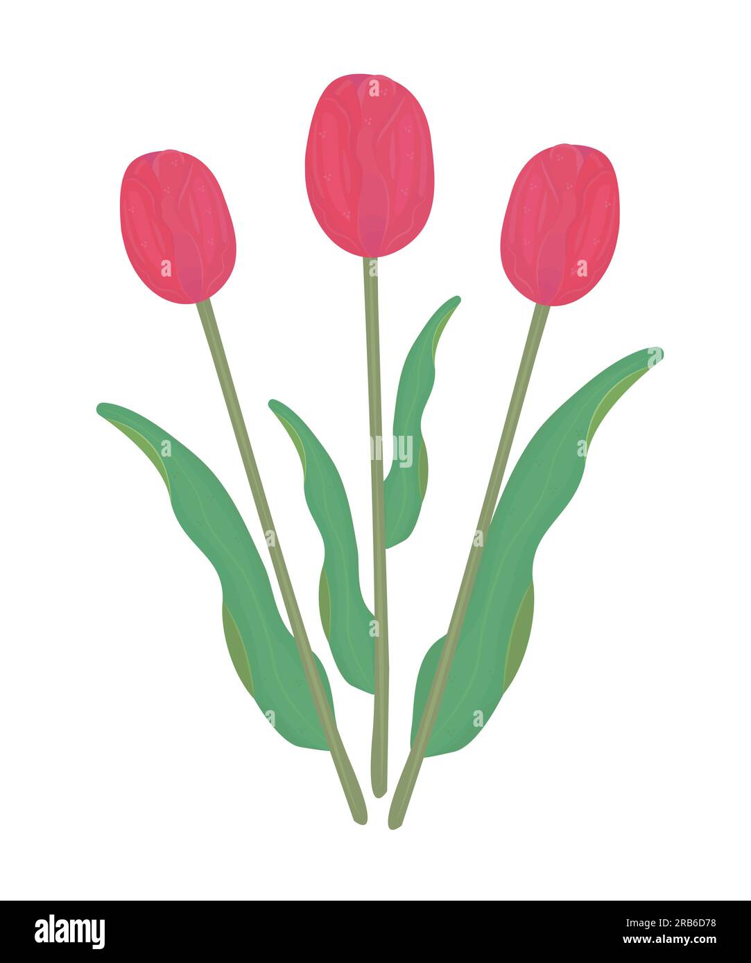 Drei rote Tulpen mit Blättern, farbenfrohe Illustration Stock Vektor