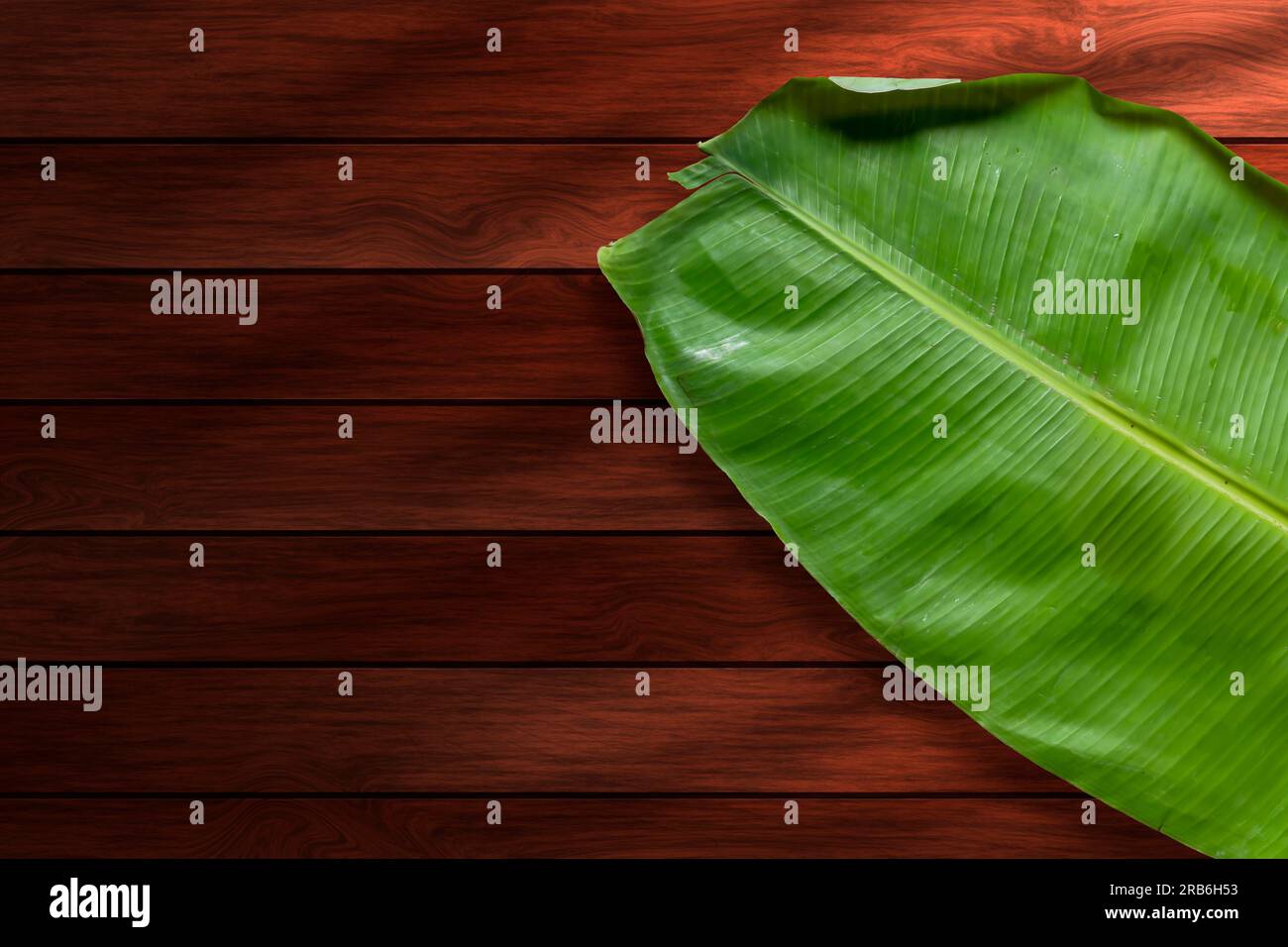 Bananenblatt auf Holzhintergrund mit Platz für Text Stockfoto