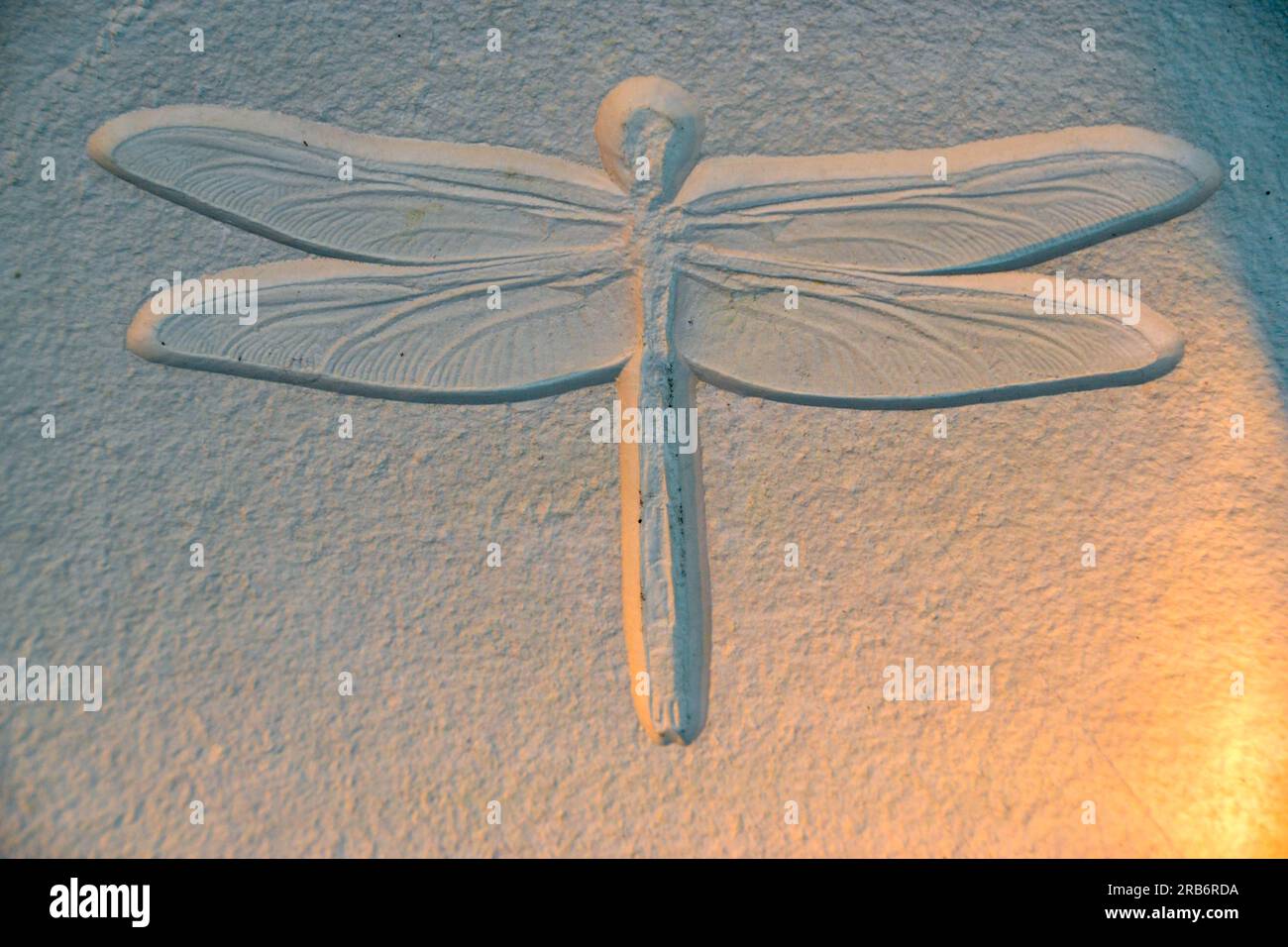 Fossilientrilobitabdruck im Sediment. 3,6 Milliarden Jahre alter Trilobit. Das Dinosaurierskelett in den archäologischen Ausgrabungen des Erdsteinfuhrers Tyrannosaurus. Stockfoto
