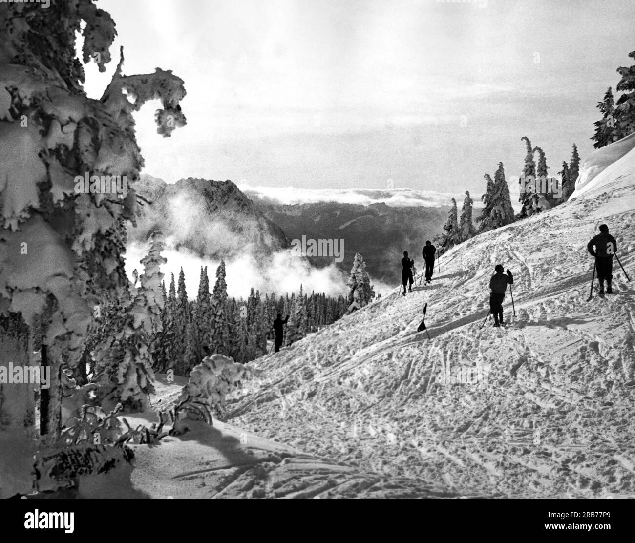 Mount Rainier, Washington: Am 5. Januar 1935 üben Skifahrer für die Olympischen Spiele, die hier im April stattfinden. Stockfoto