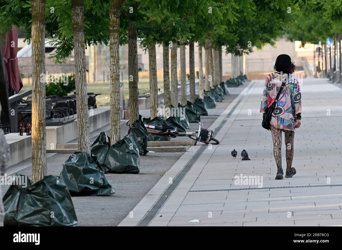 Köln, Deutschland. 08. Juli 2023. Die Stadt verwendet Wassersäcke, um den Bäumen auf dem Rhein-Boulevard bei den aktuellen hohen Temperaturen zu helfen. Meteorologen erwarten Rekordtemperaturen dieses Wochenende. Kredit: Roberto Pfeil/dpa/Alamy Live News Stockfoto