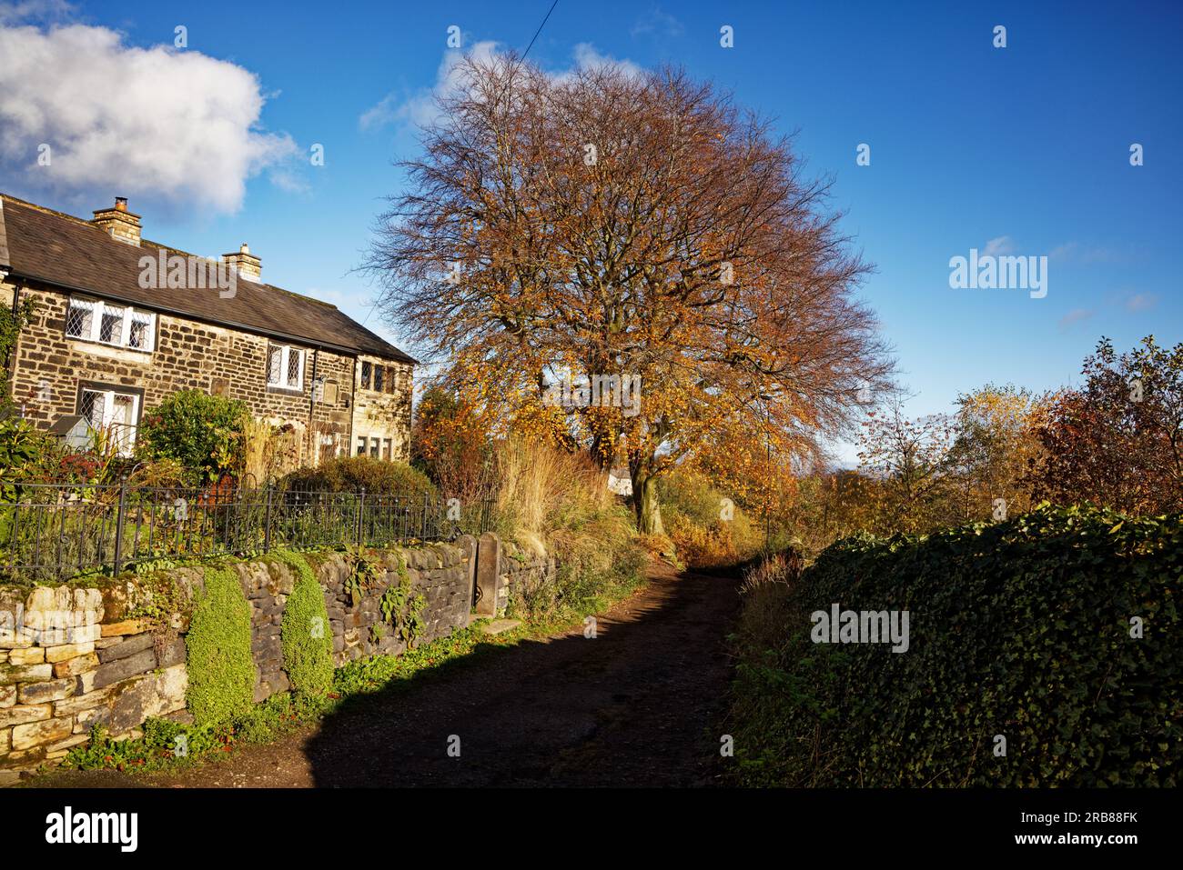 Alte Steinhütten mit Gärten und Steinmauern an einem Weg mit einem großen Baum im Spätherbst, Birtle, Rochdale, Greater Manchester. Stockfoto