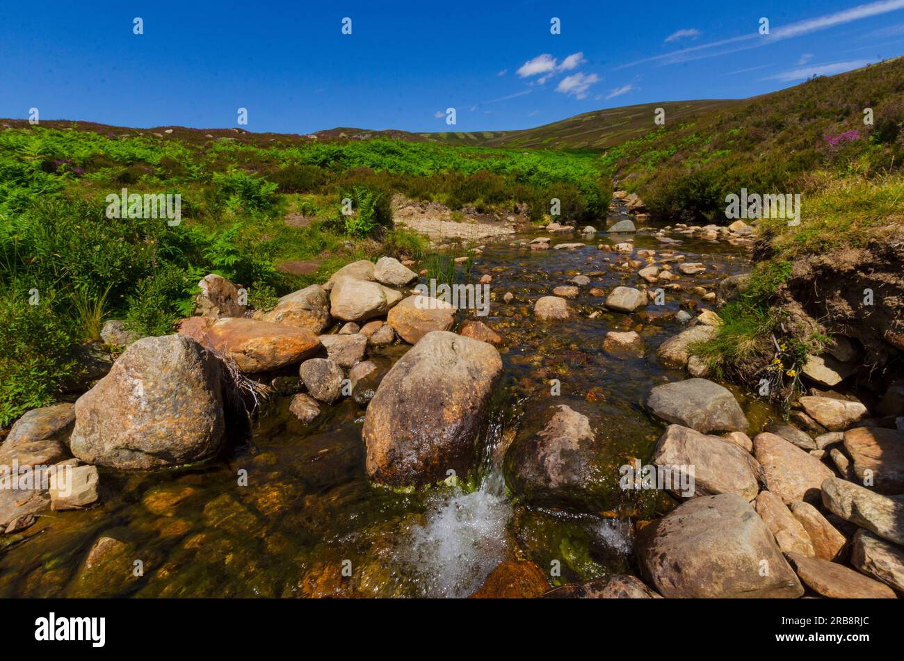 Landschaft mit Fluss im Vordergrund am Glen Mark im Cairngorms-Nationalpark Stockfoto