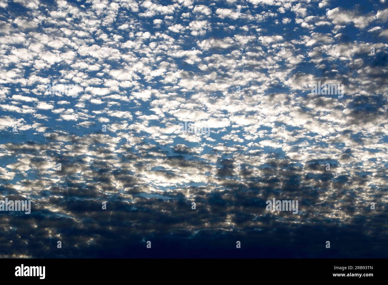 Altocumulus translucidus sind mittelstarke Wolken und bestehen bei stabilem Wetter weiter, sollte sie das Erscheinungsbild von Frostglas annehmen, würde dies auf Regen bald hindeuten Stockfoto