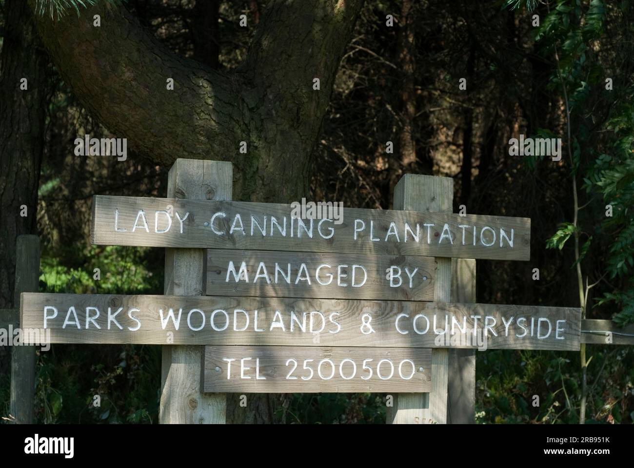 Schild für Lady Canning Plantation an der Houndkirk Road im Peak District, Derbyshire, England „Großbritannien“ Stockfoto