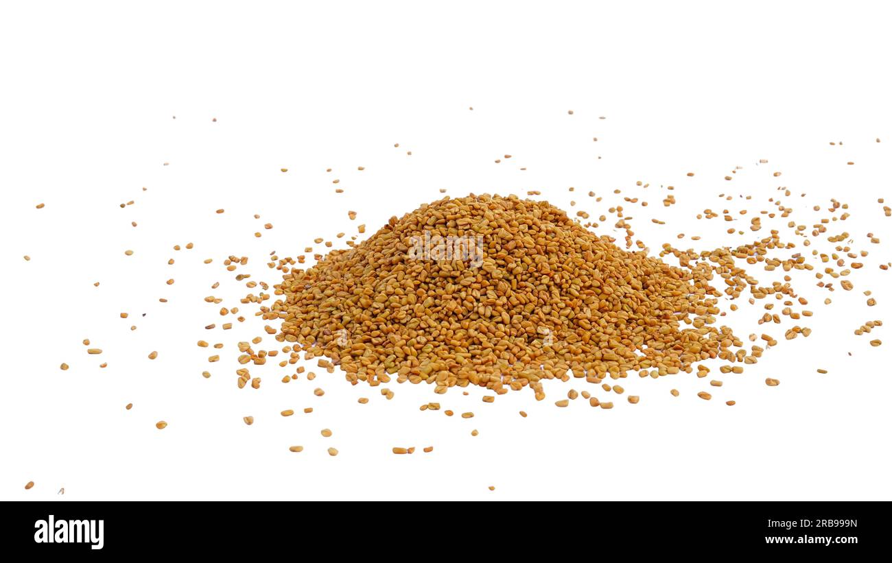 Bockshornkleesamen oder Methi-Dana-Samen auf dem Stapel. Bockshornkleesamen Hintergrund, Gewürz, kulinarische Zutat Stockfoto