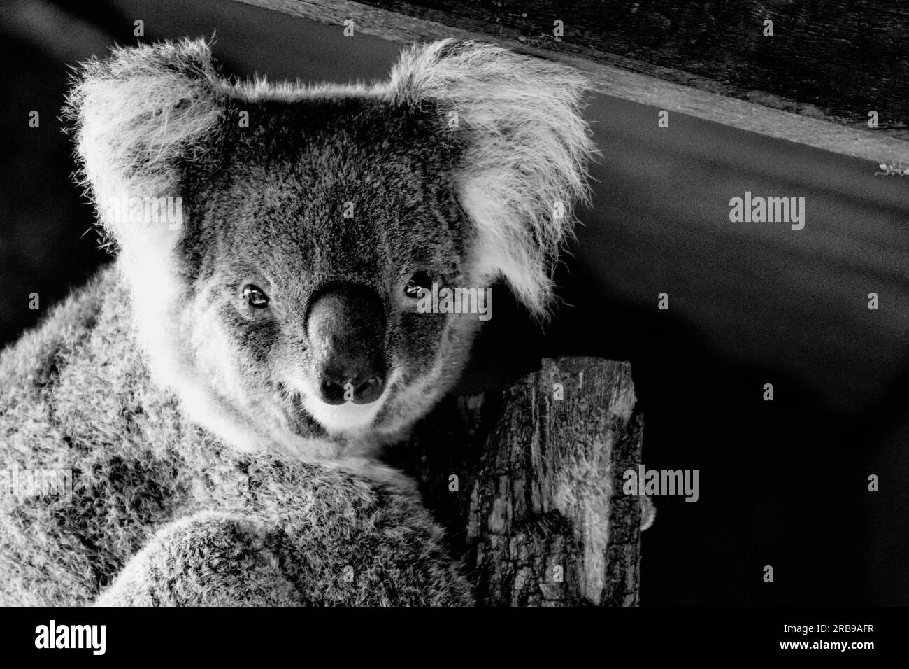 Fantastische Reise durch fantastische Orte des Landes Down Under (Australien) Stockfoto