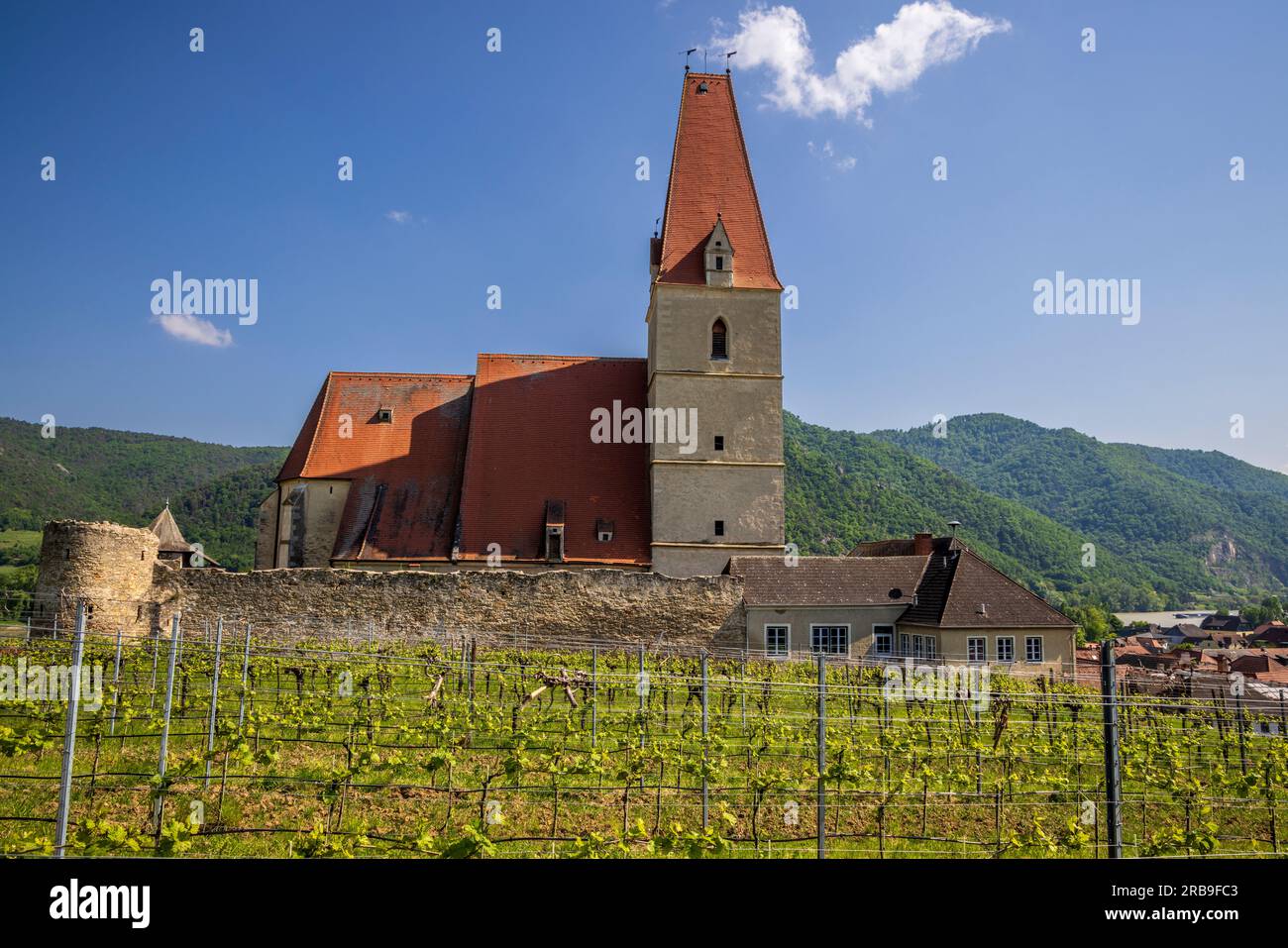 Gemeindekirche und Weinberge in Weißenkirchen, Niederösterreich Stockfoto