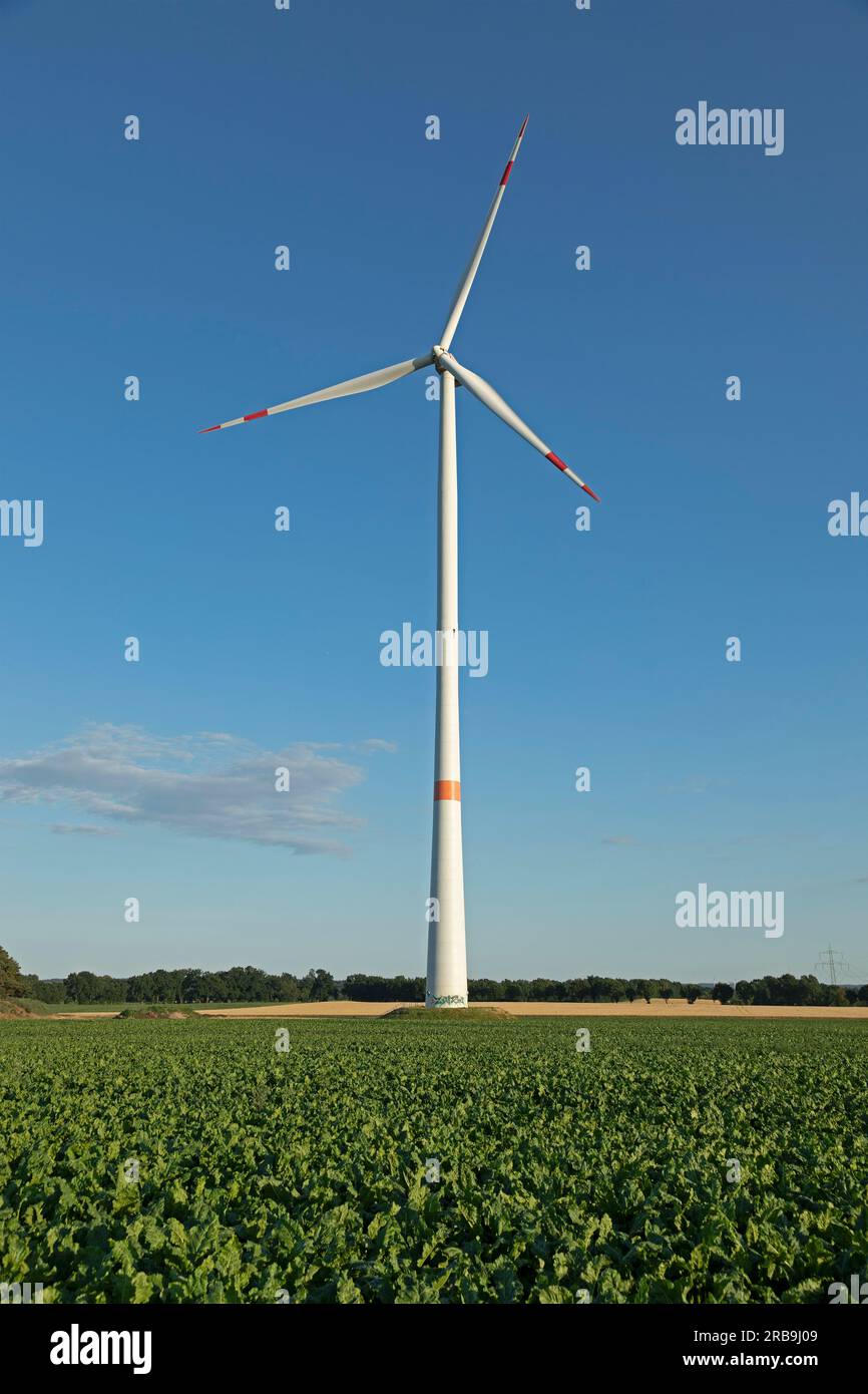 Windkraftwerk, Field, Melbeck, Ilmenau Joint Community, Niedersachsen, Deutschland Stockfoto