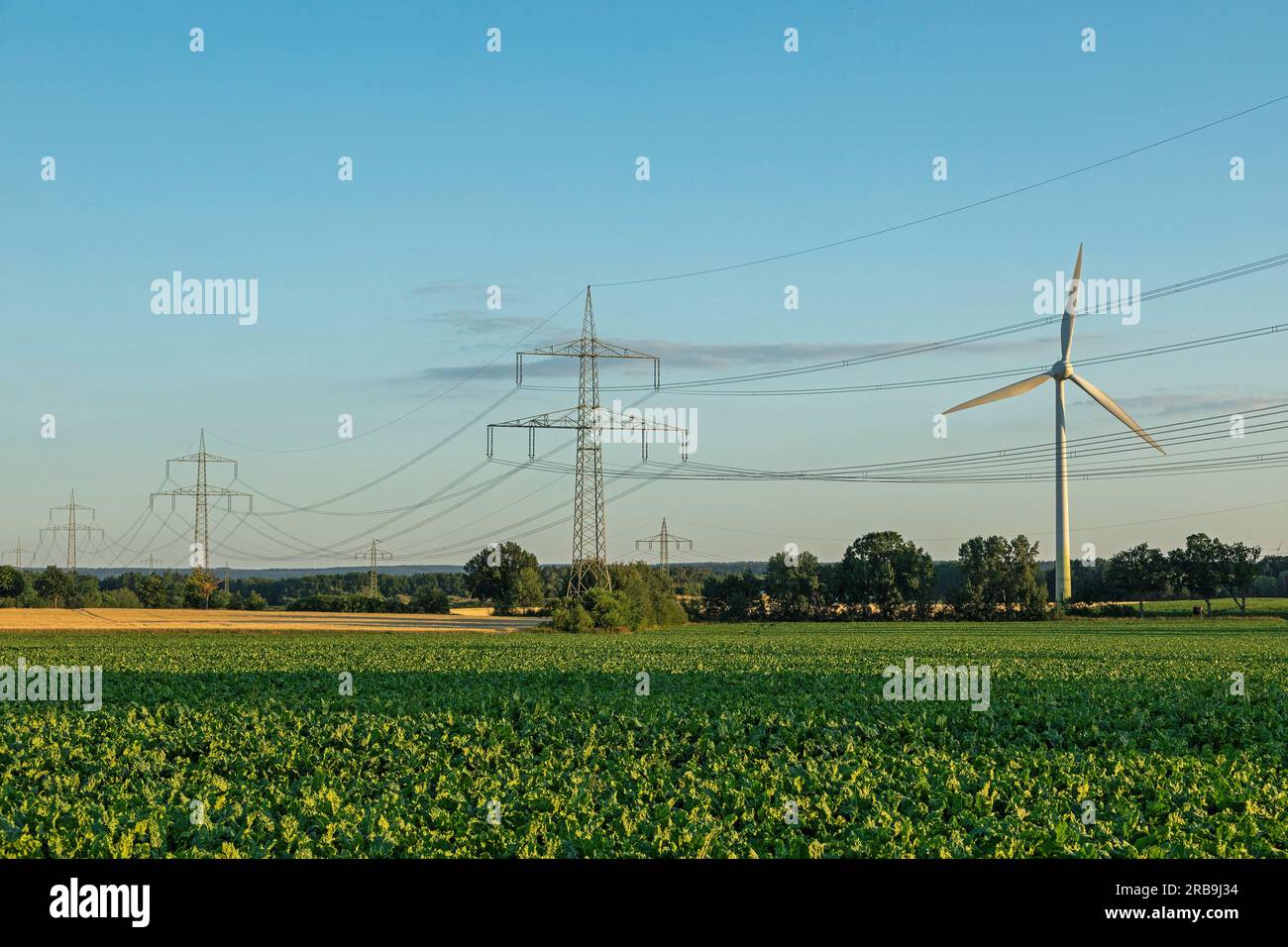 Pylons, Windkraftwerk, Melbeck, Ilmenau Joint Community, Niedersachsen, Deutschland Stockfoto