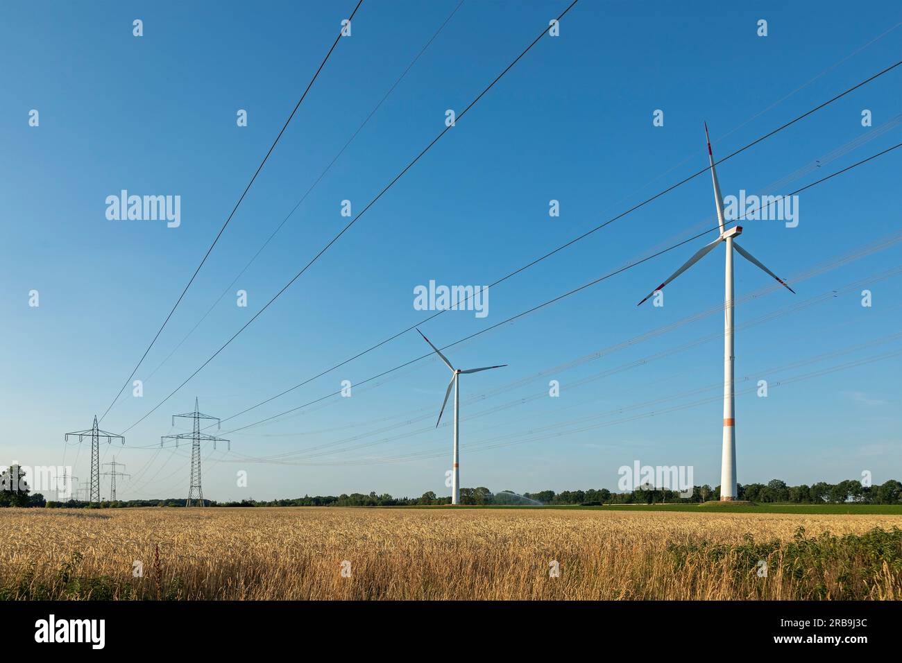 Pylons, Windkraftwerke, Maisfeld, Melbeck, Ilmenau Joint Community, Niedersachsen, Deutschland Stockfoto