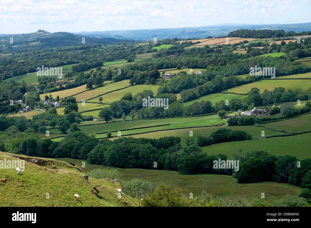 Grüne Felder Landschaftsblick in Richtung des Dorfes Trapp vom Welsh Carreg Cennan Castle in Carmarthenshire Wales im Sommer 2023 Großbritannien Stockfoto