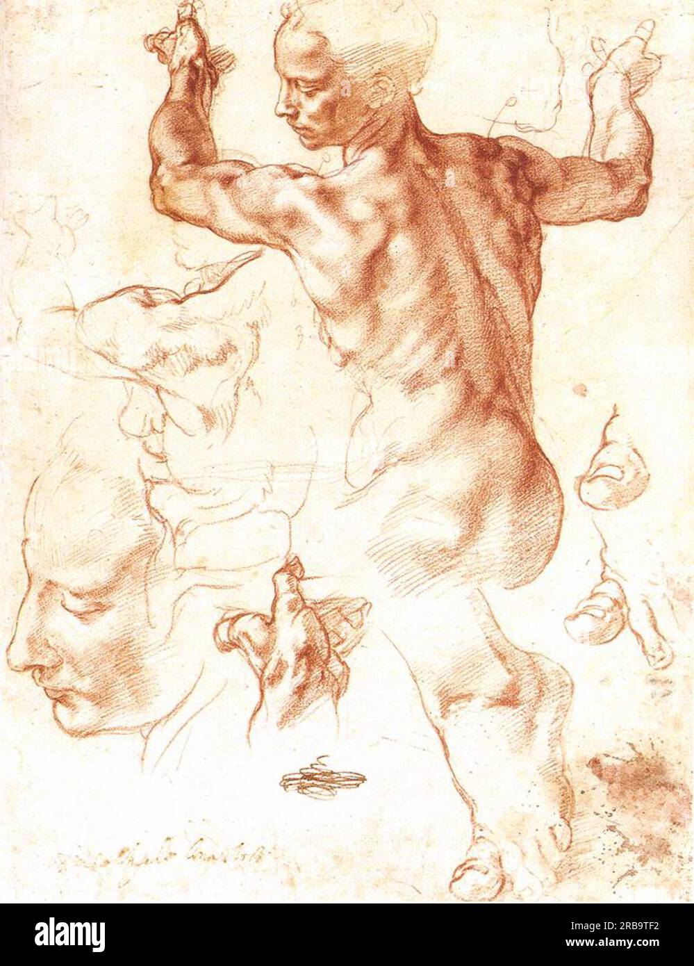 Studie zum libyschen Sibyl c.1508; Rom, Italien von Michelangelo Stockfoto