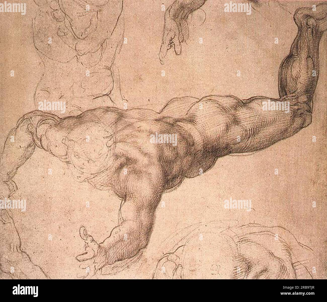 Studie für "das jüngste Urteil" c.1530; Italien von Michelangelo Stockfoto