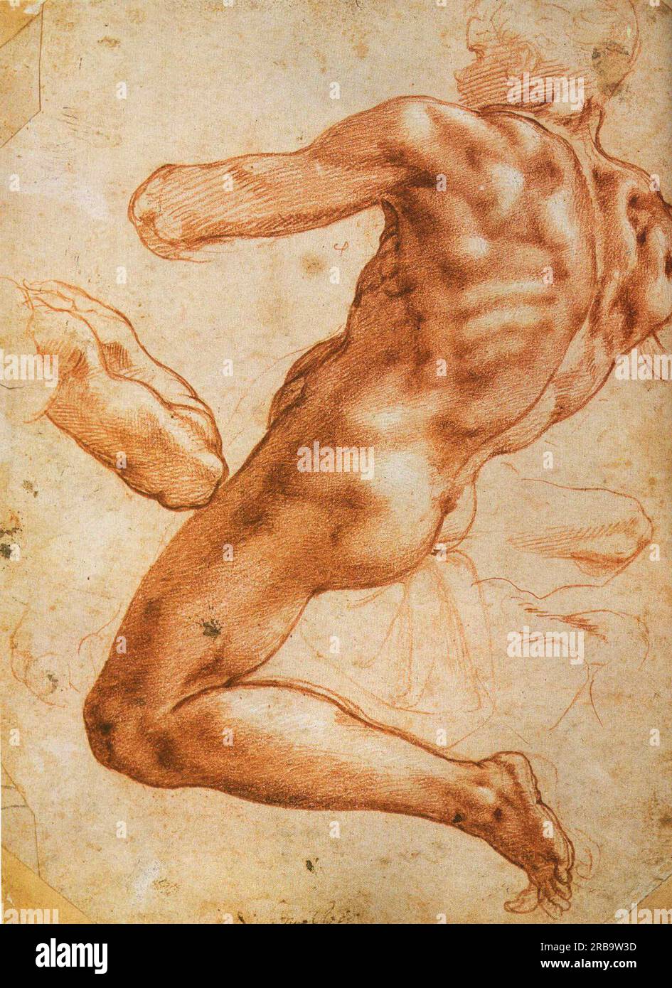 Studie für einen Ignudo c.1508; Rom, Italien, von Michelangelo Stockfoto