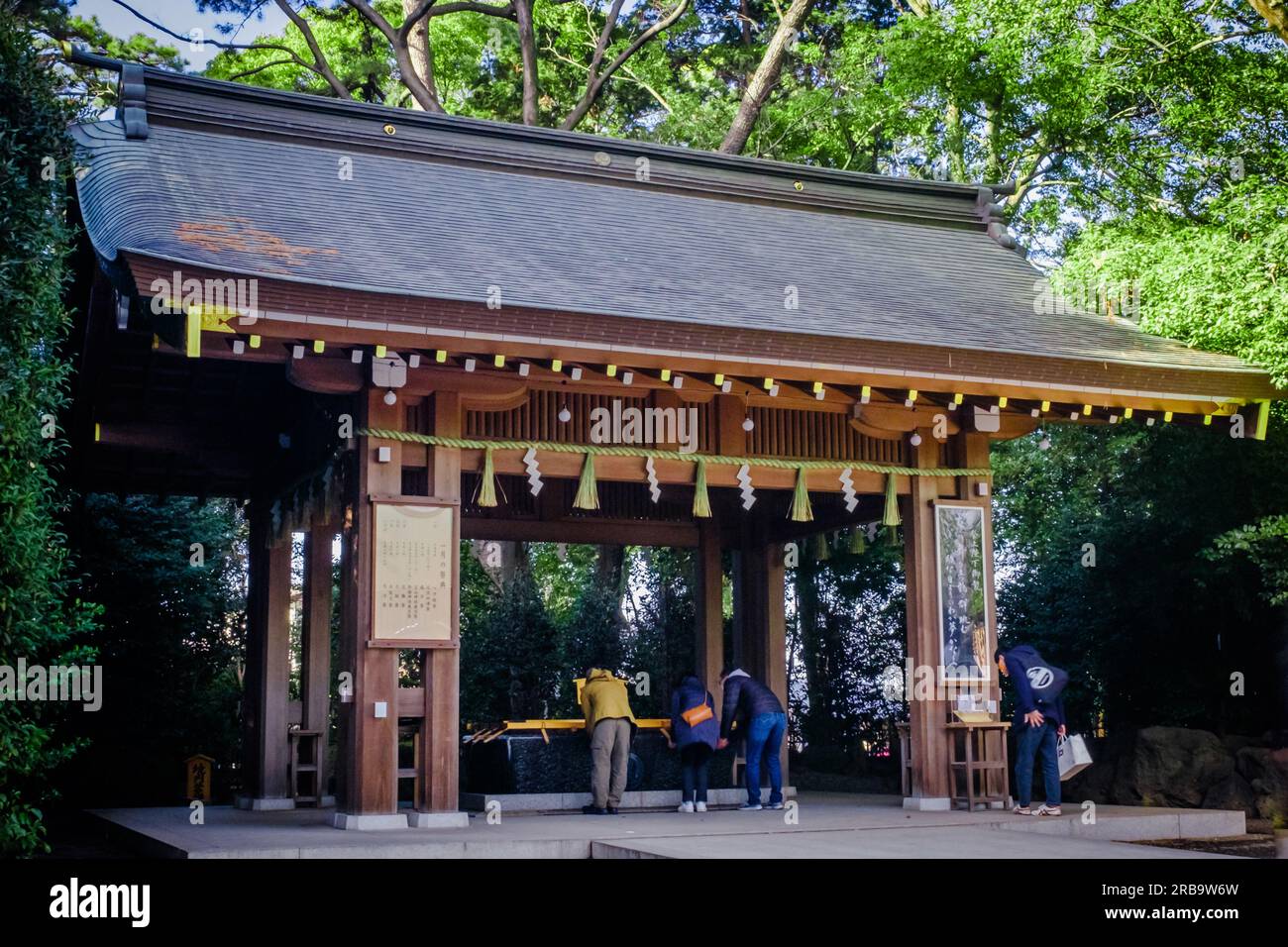 Fast jeder Shinto-Schrein verfügt über eine „Temizusha“ (手水舎), eine kleine Struktur mit einem ständig laufenden Steinbrunnen, in dem die Besucher spülen Stockfoto