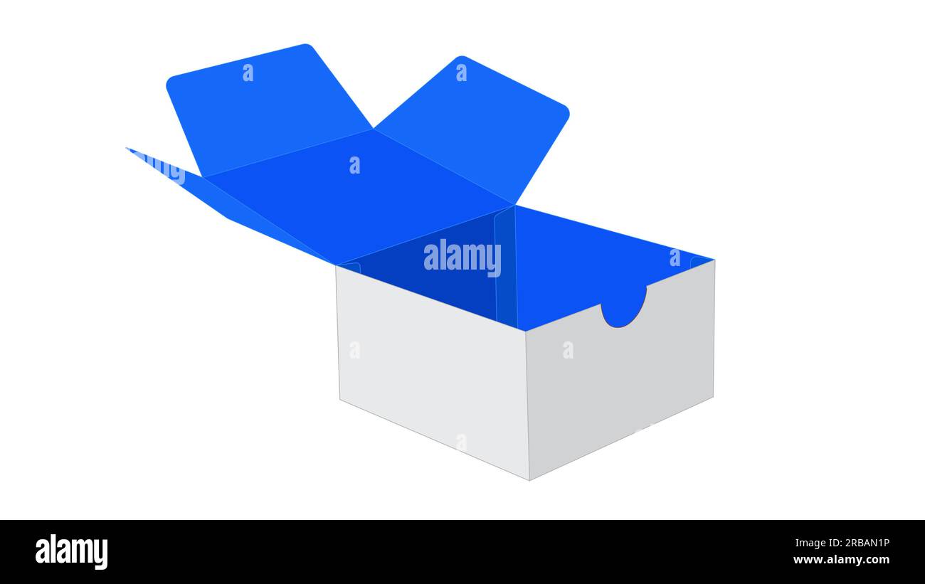Benutzerdefiniertes Feld 3D Vektordarstellung leicht veränderbare Farbe editierbar und für Modelle weißes äußeres blaues inneres Feld vorschlagen Stock Vektor