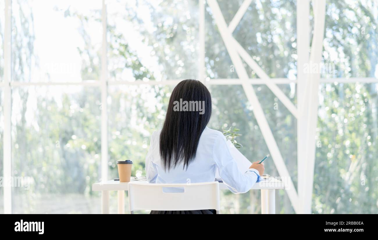 Rückansicht der hübschen schwarzen Geschäftsfrau, die mit Laptop in arbeitet Modernes Büro mit Panoramafenstern im Hintergrund Stockfoto