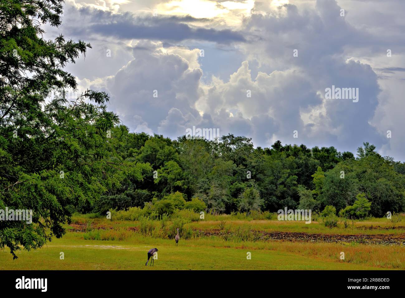 Landschaft Stockfoto