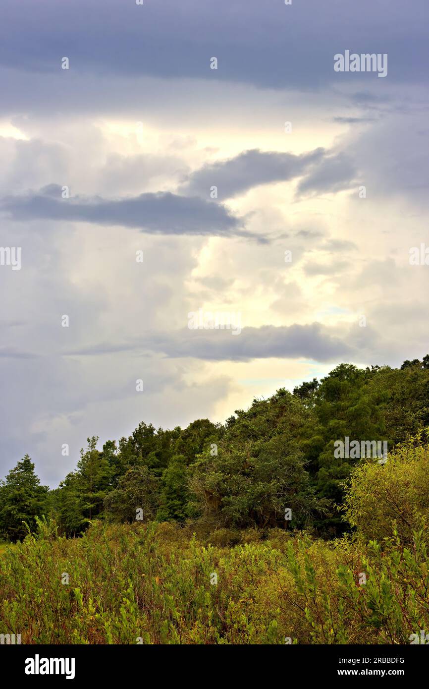 Landschaft Stockfoto
