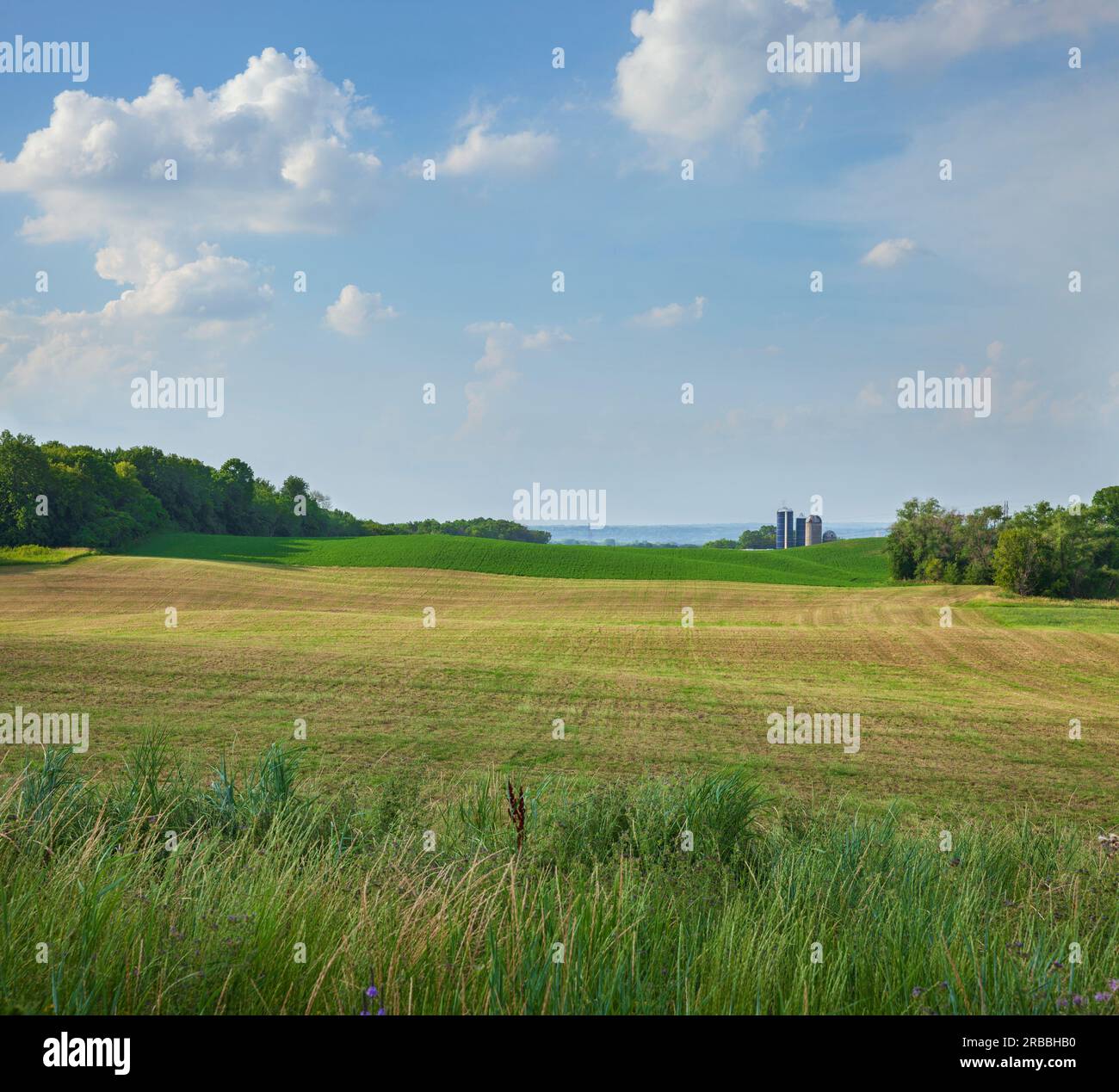 Frisch gemähtes Heufeld und Bauernhof an einem sonnigen Sommernachmittag im Mittleren Westen der USA Stockfoto