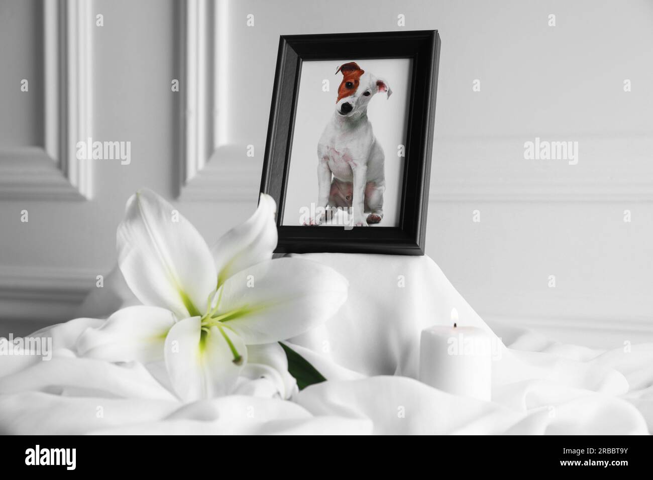 Rahmen mit Bild eines Hundes, brennender Kerze und Lilienblume auf weißem Tuch, Nahaufnahme. Haustierbeerdigung Stockfoto