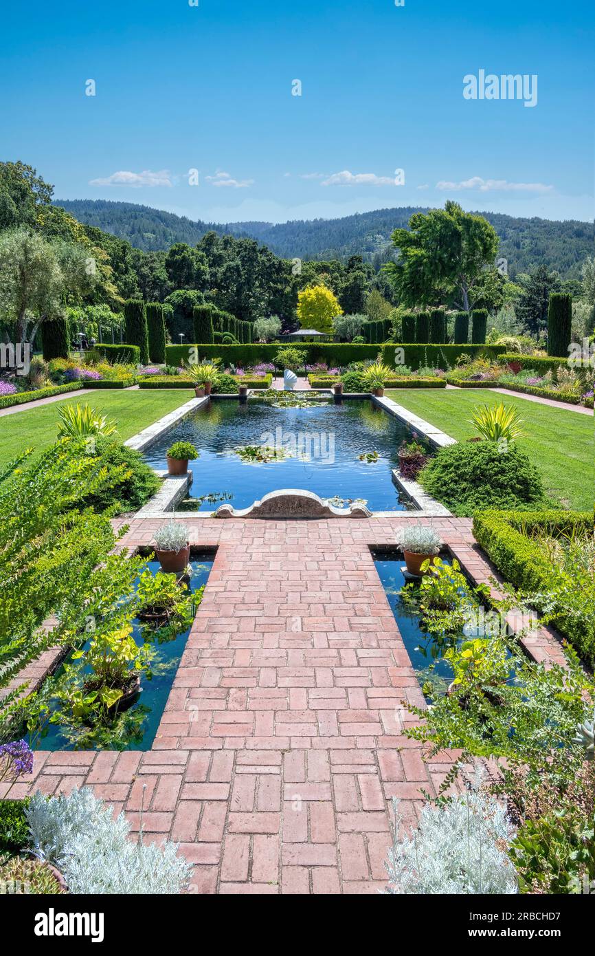 Kalifornischer Garten mit Pool und üppiger Grünlandschaft. Stockfoto
