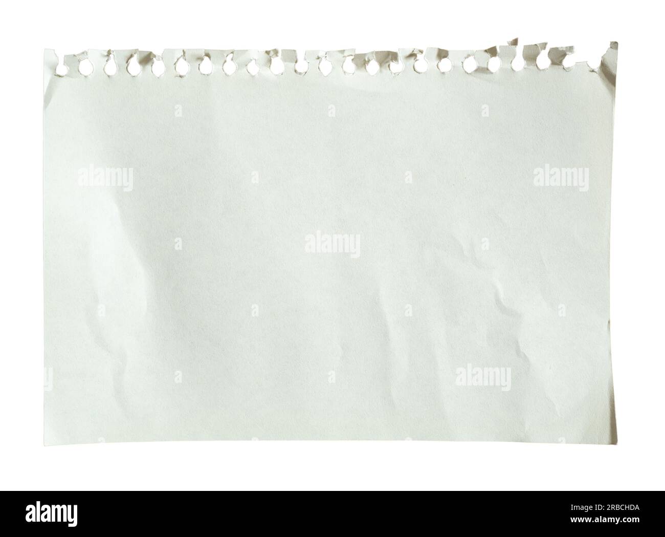 Notizbuchpapier aus einem Ringbuch auf weißem Hintergrund mit Beschneidungspfad herausgezogen Stockfoto