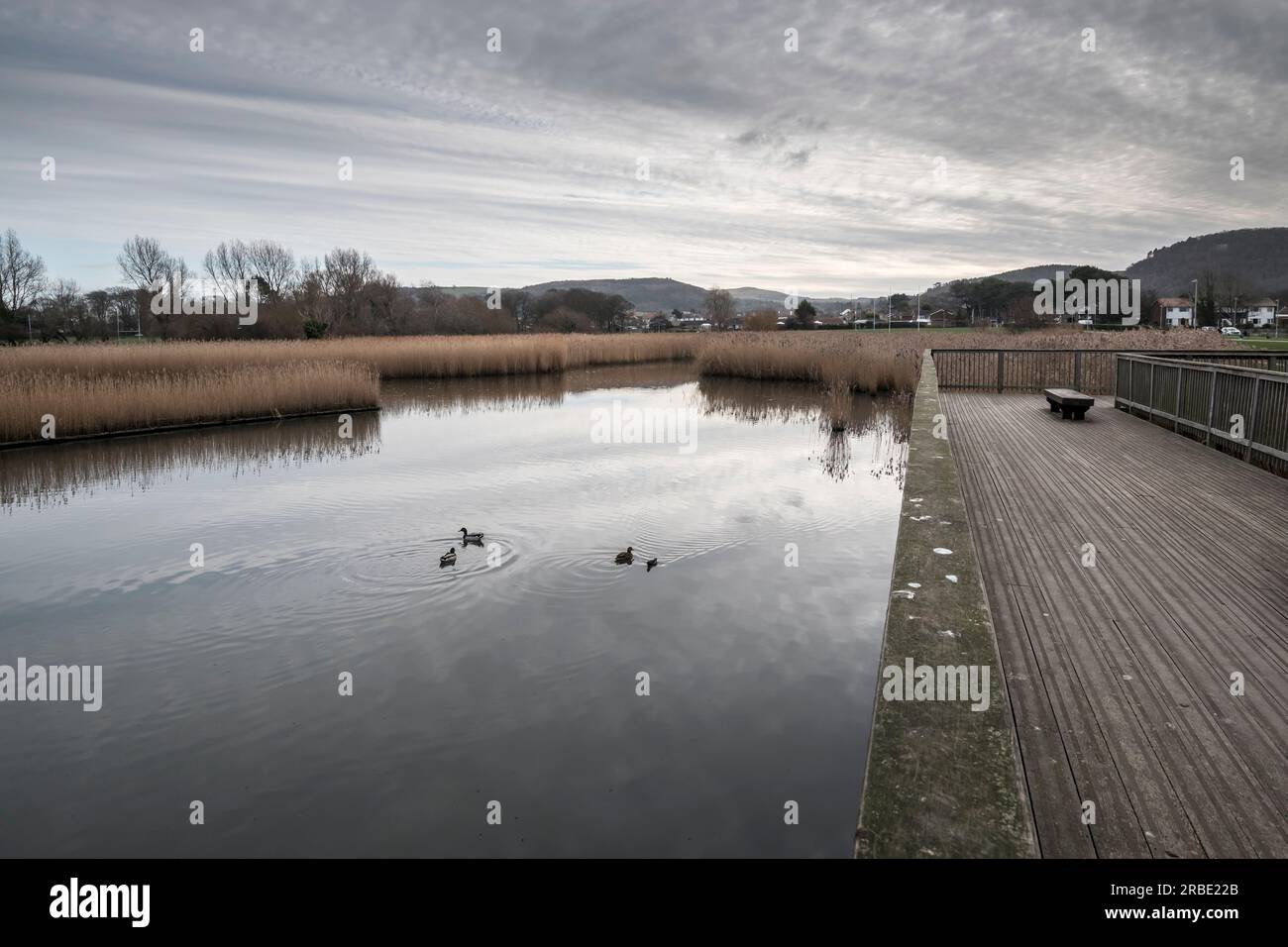 Pentre Mawr Park Wildtierteich in Abergele an der Küste von Nordwales Stockfoto