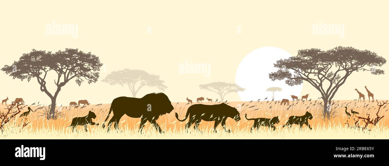 Silhouetten wilder Löwen der afrikanischen Savanne vor dem Hintergrund von Bäumen und der Sonne. Stock Vektor
