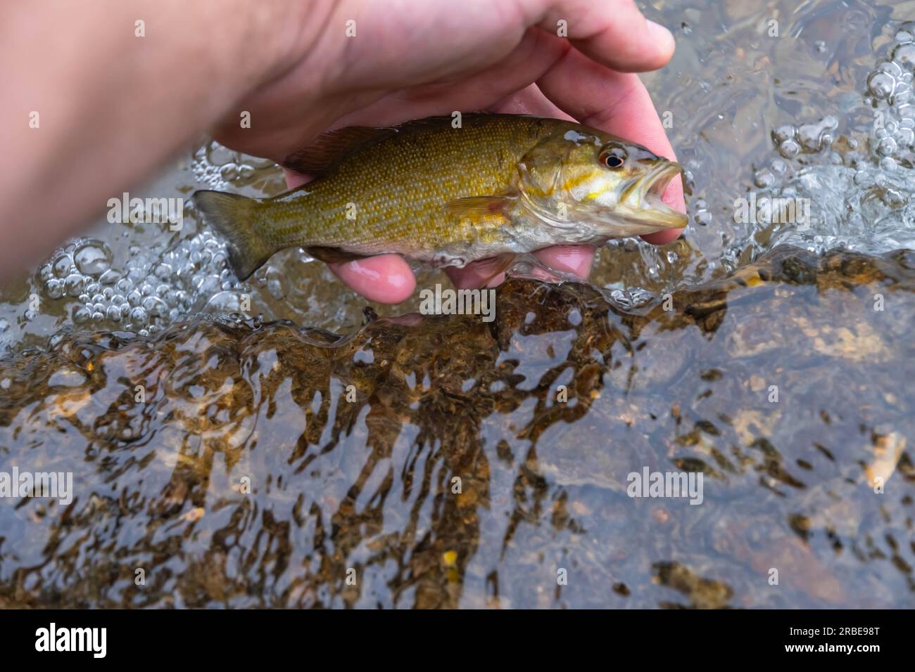 Hintergrund des Kopierraums Bass im Kleinmaul-Sommer Fangen im Wasser, Fangen und Freigeben, Bannerbereich für Aktivitäten im Freien Stockfoto