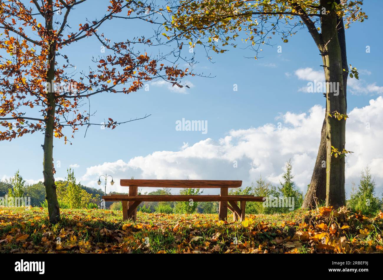 Wunderschöne Holzbank im Park. Bank mit Aussicht Stockfoto