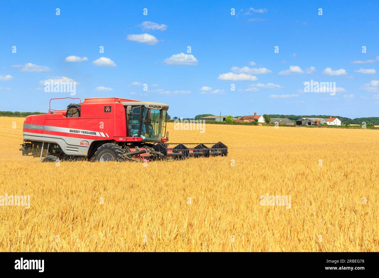 7. Juli 2023 Ernte von Tardis Wintergerste bei 14 % Feuchtigkeit auf einem Betrieb in der Nähe von Empingham, Rutland Stockfoto