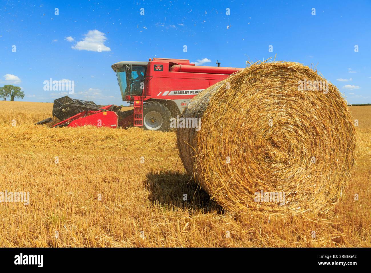 7. Juli 2023 Ernte von Tardis Wintergerste bei 14 % Feuchtigkeit auf einem Betrieb in der Nähe von Empingham, Rutland Stockfoto
