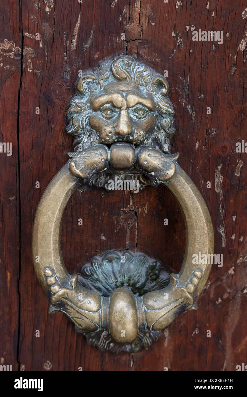 Detaillierter Türklopfer mit einem verzierten Löwenkopf aus langlebiger Bronze, dekoratives Element am Haupttor eines Gebäudes in Bologna, Italien Stockfoto