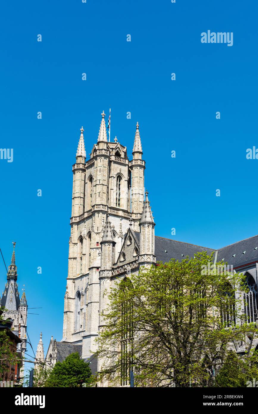 Kathedrale Saint Bavos in Gent (Gent) in Belgien, Europa Stockfoto