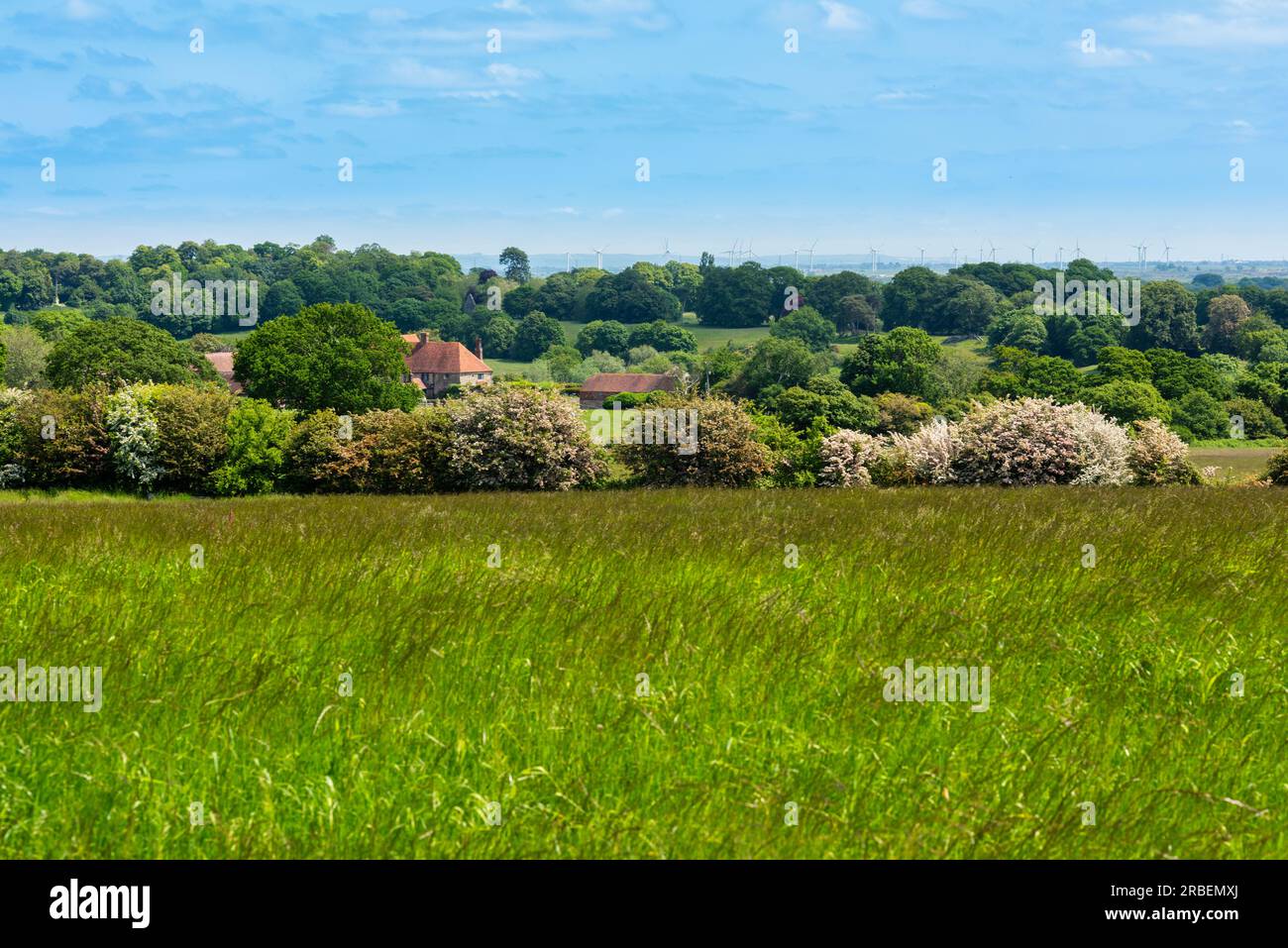 Landschaft um Winchelsea in East Sussex Stockfoto