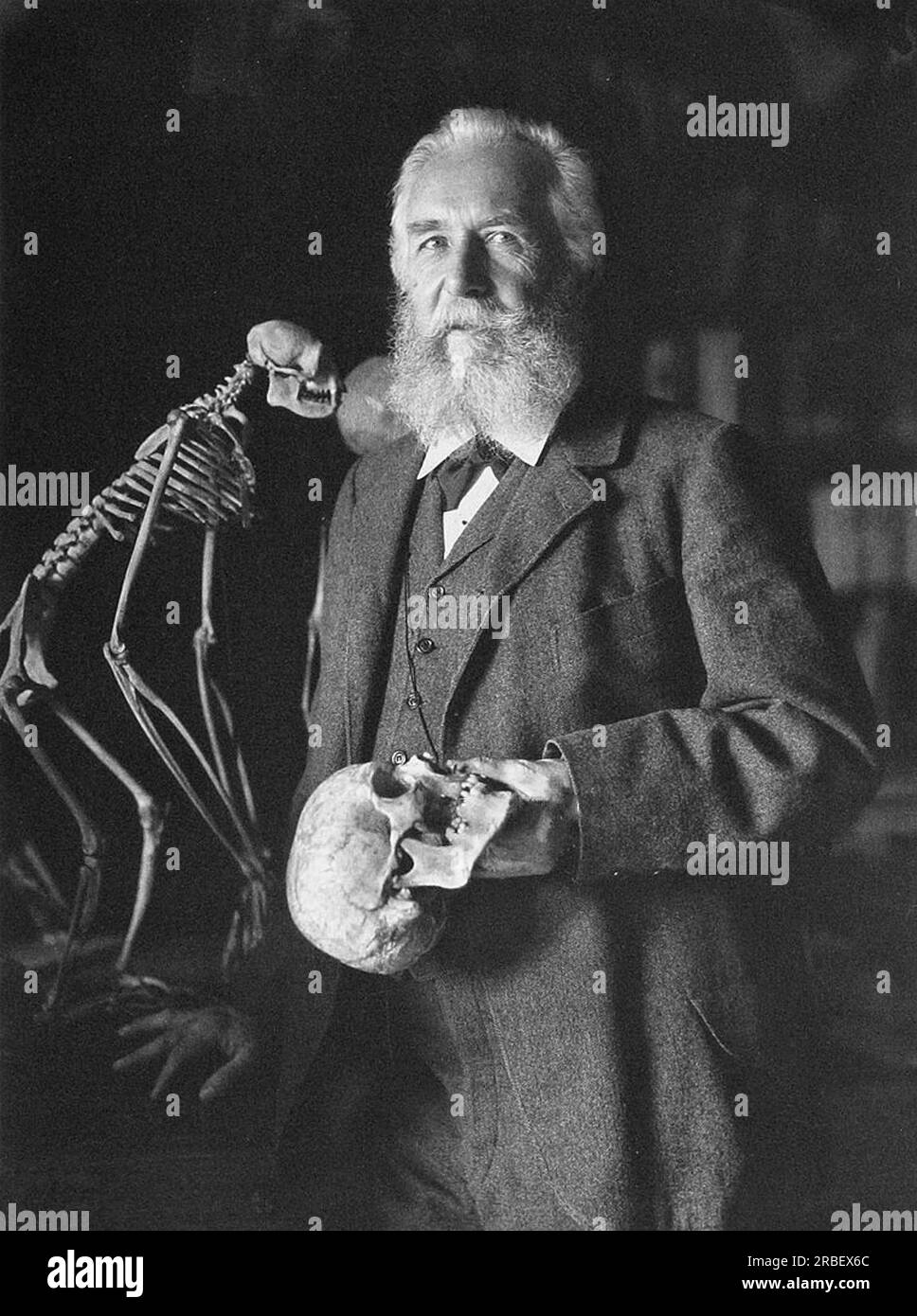 Ernst Haeckel, deutscher Biologe und Naturforscher 1906 von Nicola Perscheid Stockfoto