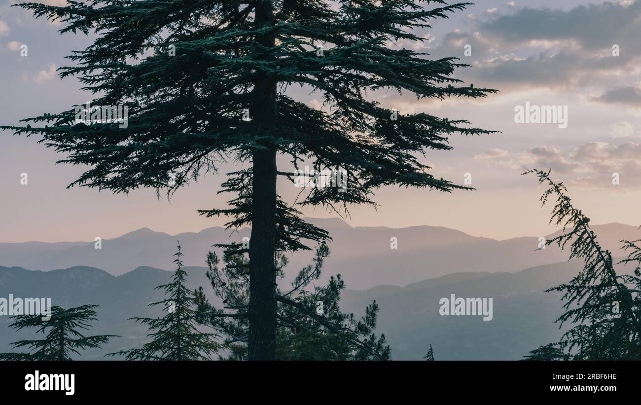 Blick auf das Taurusgebirge und die Wälder. Tahtali, Antalya. Stockfoto