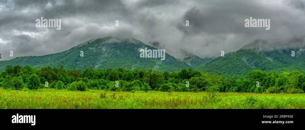 Horizontale Panoramaaufnahme eines regnerischen Sommermorgens in den Great Smoky Mountains. Stockfoto